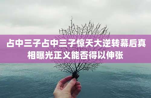 占中三子占中三子惊天大逆转幕后真相曝光正义能否得以伸张