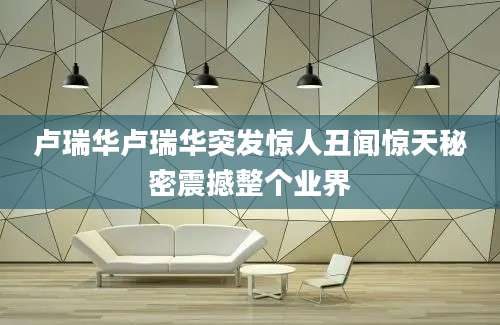 卢瑞华卢瑞华突发惊人丑闻惊天秘密震撼整个业界