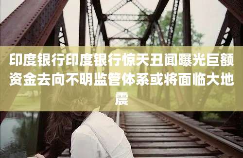 印度银行印度银行惊天丑闻曝光巨额资金去向不明监管体系或将面临大地震
