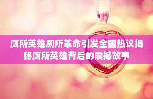 厕所英雄厕所革命引发全国热议揭秘厕所英雄背后的震撼故事