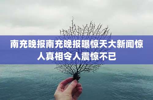 南充晚报南充晚报曝惊天大新闻惊人真相令人震惊不已