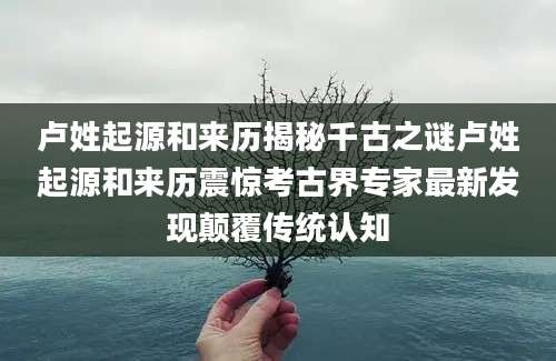 卢姓起源和来历揭秘千古之谜卢姓起源和来历震惊考古界专家最新发现颠覆传统认知