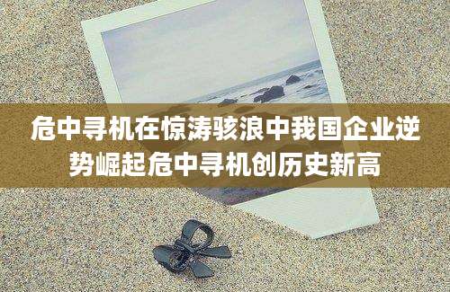 危中寻机在惊涛骇浪中我国企业逆势崛起危中寻机创历史新高