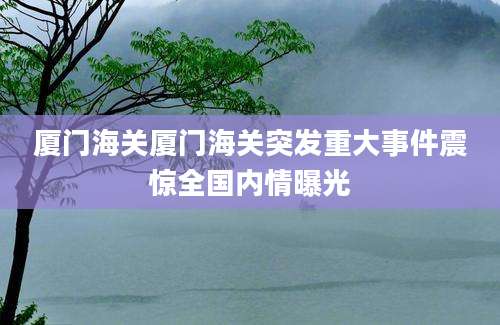 厦门海关厦门海关突发重大事件震惊全国内情曝光
