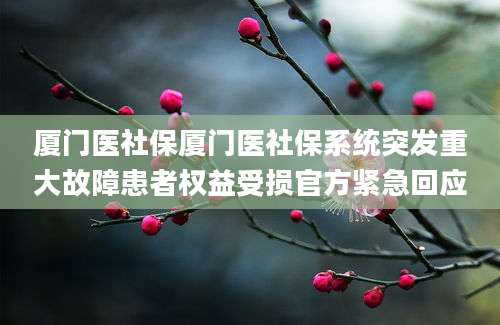 厦门医社保厦门医社保系统突发重大故障患者权益受损官方紧急回应