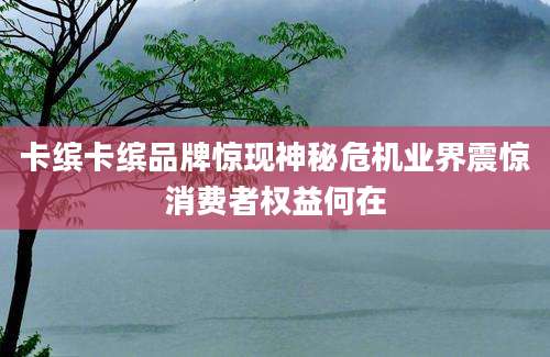 卡缤卡缤品牌惊现神秘危机业界震惊消费者权益何在