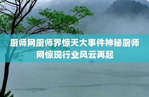 厨师网厨师界惊天大事件神秘厨师网惊现行业风云再起