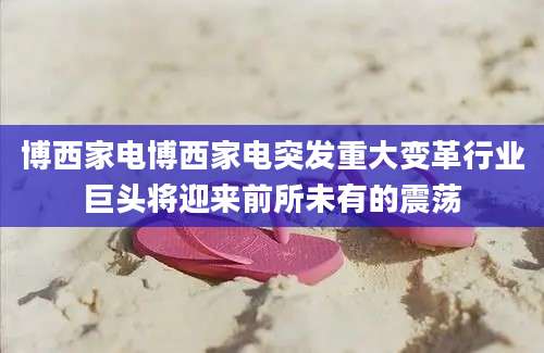 博西家电博西家电突发重大变革行业巨头将迎来前所未有的震荡
