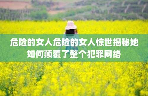 危险的女人危险的女人惊世揭秘她如何颠覆了整个犯罪网络