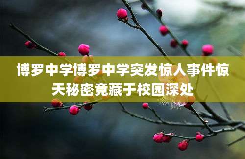 博罗中学博罗中学突发惊人事件惊天秘密竟藏于校园深处