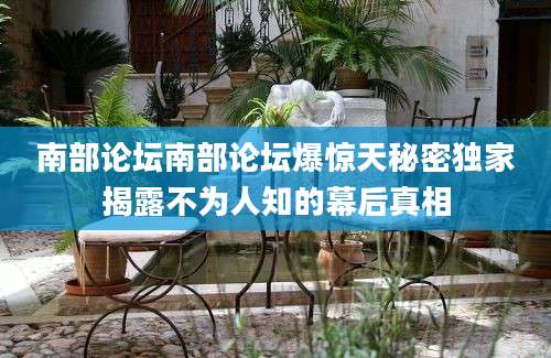 南部论坛南部论坛爆惊天秘密独家揭露不为人知的幕后真相