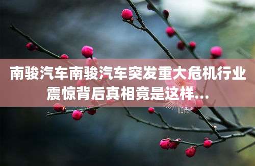 南骏汽车南骏汽车突发重大危机行业震惊背后真相竟是这样...
