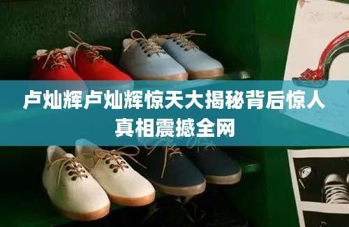 卢灿辉卢灿辉惊天大揭秘背后惊人真相震撼全网