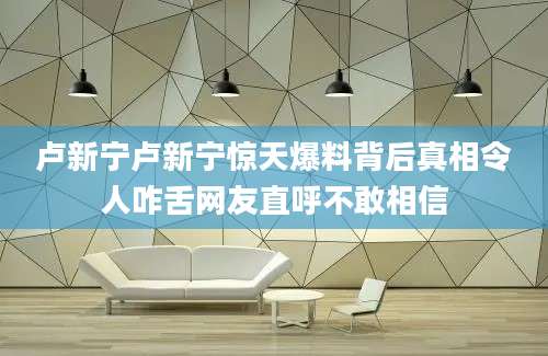 卢新宁卢新宁惊天爆料背后真相令人咋舌网友直呼不敢相信