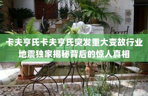 卡夫亨氏卡夫亨氏突发重大变故行业地震独家揭秘背后的惊人真相