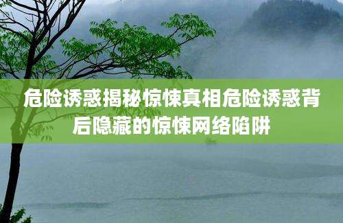 危险诱惑揭秘惊悚真相危险诱惑背后隐藏的惊悚网络陷阱