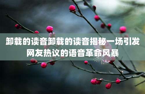 卸载的读音卸载的读音揭秘一场引发网友热议的语音革命风暴