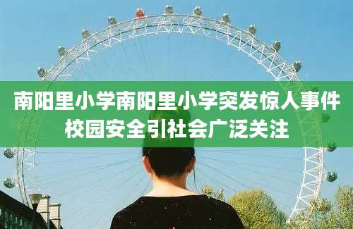 南阳里小学南阳里小学突发惊人事件校园安全引社会广泛关注