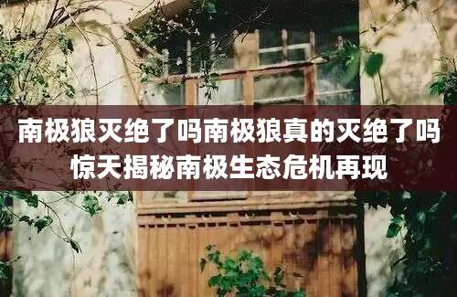 南极狼灭绝了吗南极狼真的灭绝了吗惊天揭秘南极生态危机再现
