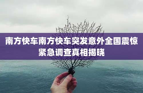 南方快车南方快车突发意外全国震惊紧急调查真相揭晓