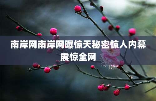 南岸网南岸网曝惊天秘密惊人内幕震惊全网