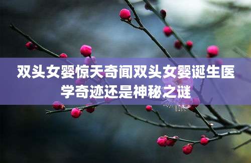 双头女婴惊天奇闻双头女婴诞生医学奇迹还是神秘之谜
