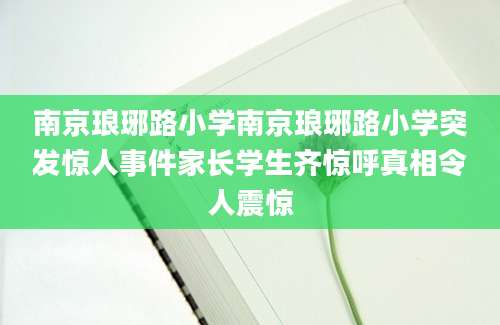 南京琅琊路小学南京琅琊路小学突发惊人事件家长学生齐惊呼真相令人震惊