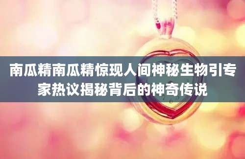 南瓜精南瓜精惊现人间神秘生物引专家热议揭秘背后的神奇传说