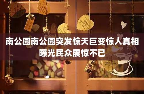 南公园南公园突发惊天巨变惊人真相曝光民众震惊不已
