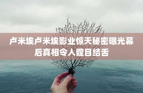 卢米埃卢米埃影业惊天秘密曝光幕后真相令人瞠目结舌