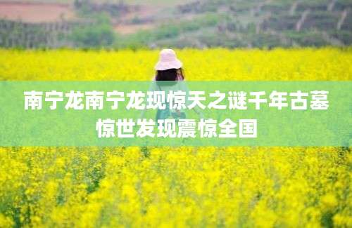 南宁龙南宁龙现惊天之谜千年古墓惊世发现震惊全国