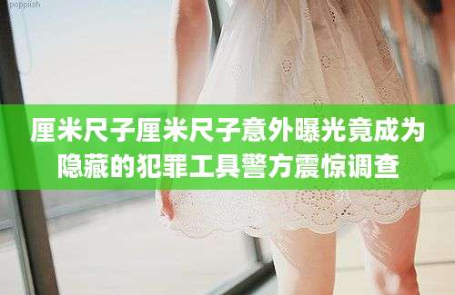 厘米尺子厘米尺子意外曝光竟成为隐藏的犯罪工具警方震惊调查