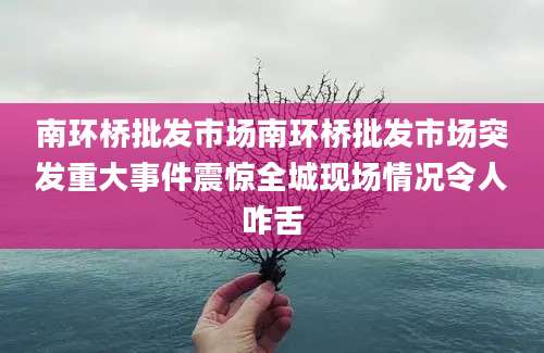 南环桥批发市场南环桥批发市场突发重大事件震惊全城现场情况令人咋舌