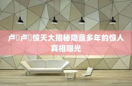 卢璟卢璟惊天大揭秘隐藏多年的惊人真相曝光