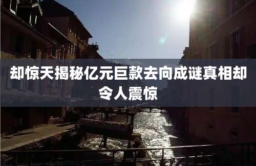 却惊天揭秘亿元巨款去向成谜真相却令人震惊
