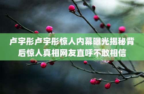 卢宇彤卢宇彤惊人内幕曝光揭秘背后惊人真相网友直呼不敢相信