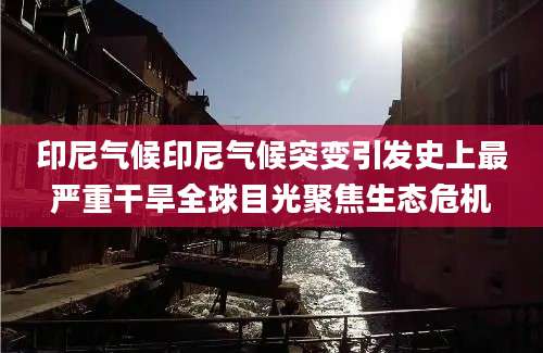 印尼气候印尼气候突变引发史上最严重干旱全球目光聚焦生态危机