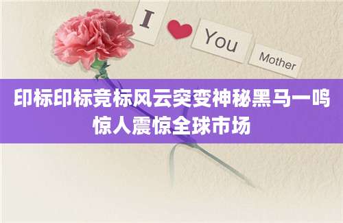 印标印标竞标风云突变神秘黑马一鸣惊人震惊全球市场