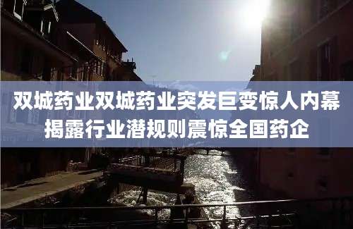 双城药业双城药业突发巨变惊人内幕揭露行业潜规则震惊全国药企