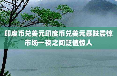 印度币兑美元印度币兑美元暴跌震惊市场一夜之间贬值惊人