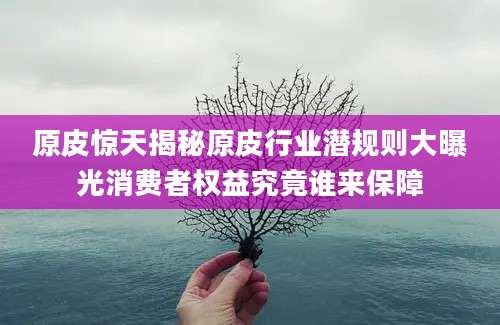 原皮惊天揭秘原皮行业潜规则大曝光消费者权益究竟谁来保障