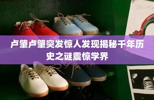 卢肇卢肇突发惊人发现揭秘千年历史之谜震惊学界