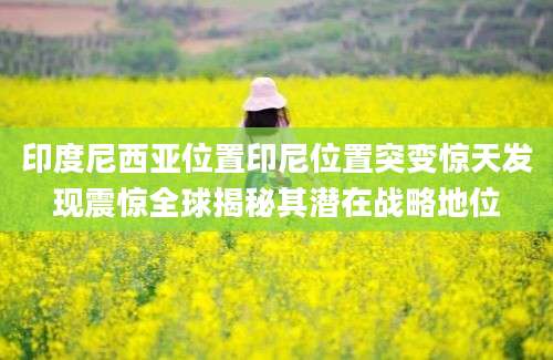 印度尼西亚位置印尼位置突变惊天发现震惊全球揭秘其潜在战略地位