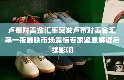 卢布对美金汇率突发卢布对美金汇率一夜暴跌市场震惊专家紧急解读后续影响
