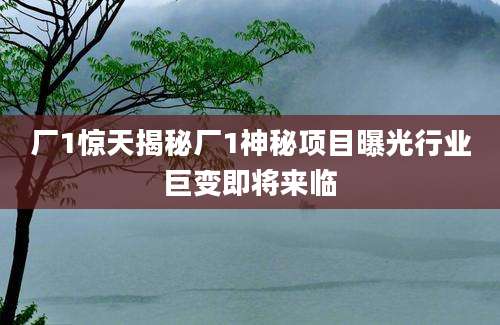 厂1惊天揭秘厂1神秘项目曝光行业巨变即将来临