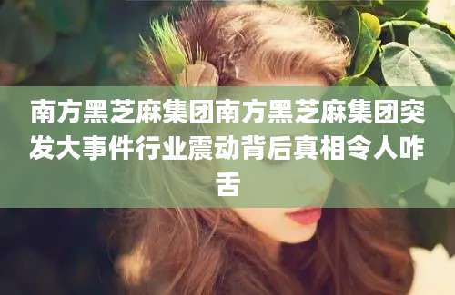 南方黑芝麻集团南方黑芝麻集团突发大事件行业震动背后真相令人咋舌
