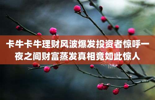 卡牛卡牛理财风波爆发投资者惊呼一夜之间财富蒸发真相竟如此惊人