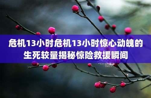 危机13小时危机13小时惊心动魄的生死较量揭秘惊险救援瞬间