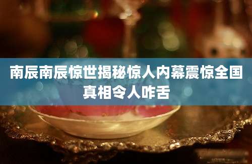 南辰南辰惊世揭秘惊人内幕震惊全国真相令人咋舌
