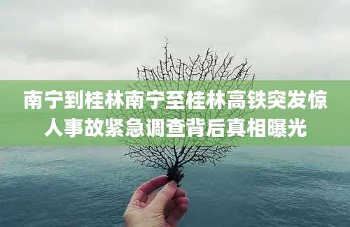 南宁到桂林南宁至桂林高铁突发惊人事故紧急调查背后真相曝光